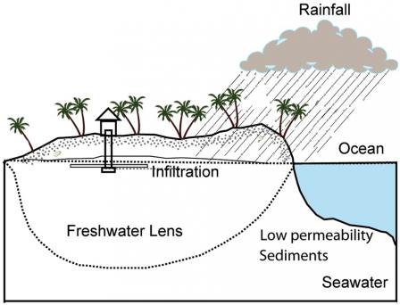 Drawing of a coastal parcel of land with a house and a well that extends into the freshwater lens. The image shows rainfall, the ocean, and land with a subterranean sketch. Land is labeled as low permeability sediments, freshwater lens, or infiltration.