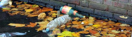 Plastic bottles in stream