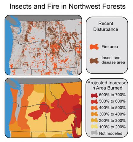 Участки, выжженные в 1984-2008 гг. или пораженные насекомыми или болезнями в 1997-2008 гг. Ожидаемое увеличение выгоревшей площади в результате повышения средней температуры на 2,2°F колеблется от 100-200% до увеличения на 500-600% в восточной части ОР, в середине ID и в западной части MT.