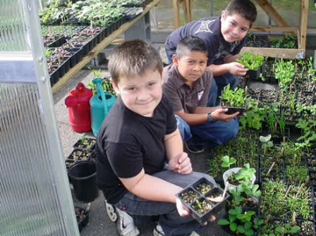 Greenhouse and gardeners at Oakley Elementary School