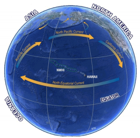 Illustration of norther Pacific Gyre showing its clockwise rotation