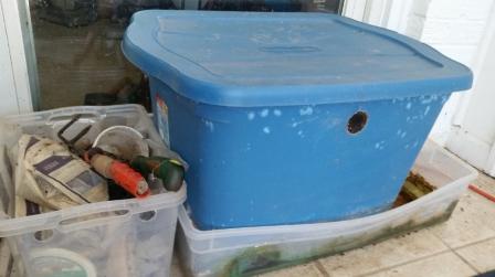 This is a picture of a large blue plastic bin used for worm composting