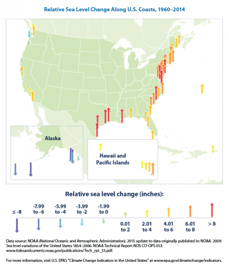From 1960-2014, most of the east and Gulf coasts experienced sea level rise of at least 2 inches, with some areas rising over 8 inches. Parts of Alaska experienced a drop in sea level of more than 8 inches. The west coast shows a more mixed picture.