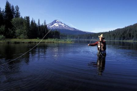 Image of a man fly fishing.