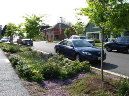 Photo of a street-side swale and adjacent porous concrete sidewalk are located in the High Point neighborhood of Seattle, WA (Source: Abby Hall, US EPA).