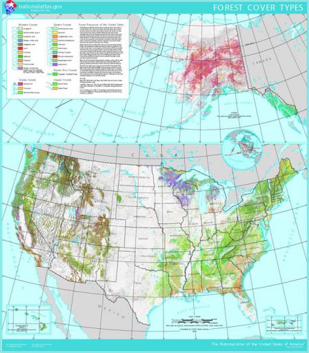 Map that shows the extent and type of forest cover in the United States. Forest types vary greatly from east to west and north to south, with Alaskan and Hawai'ian forests also varying greatly.