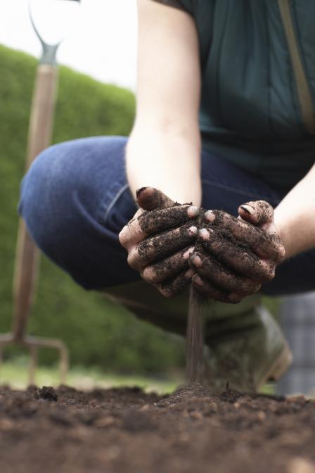 Photo depicting healthy soil
