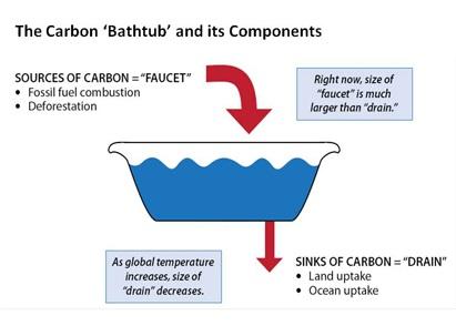 Image showing a bathtub. Sources of carbon are the faucet, while sinks of carbon are the drain.
