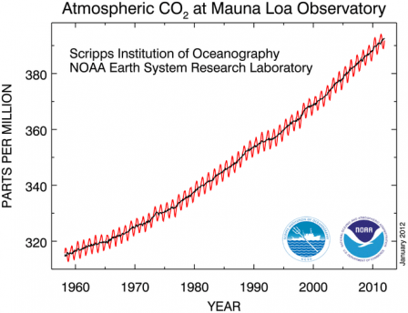 Graph showing increasing Atmospheric CO2 at Mauna Loa Observatory from the 1950's to 2010.