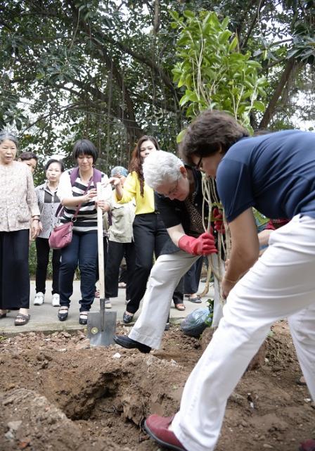 Tree planted by Gina McCarthy in Vietnam
