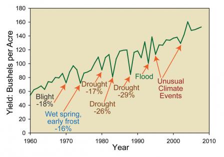 Line graph that shows the yield in bushels per acre by year. The map calls out several events that caused significant declines in yield. Blight, wet spring and early frost, droughts, flood, and unusual climate events caused as much as 29 percent declines in yield. The data ranges from 1960 to 2010 and over that period of time the trend shows that the yield per acre has risen from approximately 60 to 150 bushels per acre.