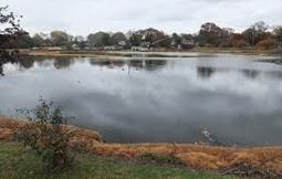 Mirror Lake in Dover, Delaware.
