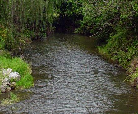 A flowing stream