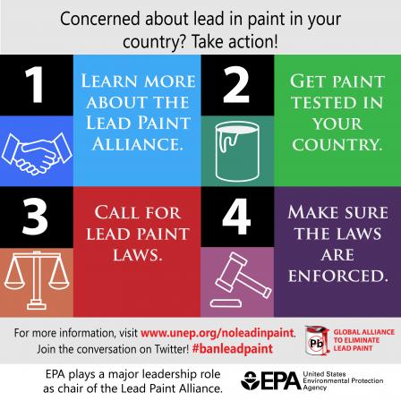 Ways to take action to address lead in paint, including joining the lead paint alliance, getting paint tested for lead in your country, calling for laws in your country, and enforcing existing laws.