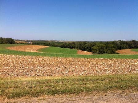 Strip till cropping in Wisconsin 319