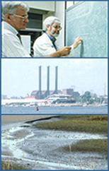 Three images showing water quality instances: scientists, waterway, marsh.