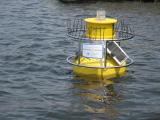 Water monitoring buoy in the Mystic River near the Blessing of the Bay.