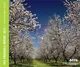 Cover of 2015 Annual Report | Flowing almond trees under a clear sky