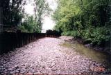 [May 19, 2000] Cell F-1: South side of river looking upstream (East); Restoration complete.