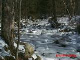 March 11, 1999 - Roaring Brook Tributary