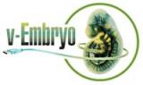 Virtual Embryo logo