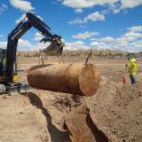 Rusted steel cylindrical tank being lifted out of trench by excavator