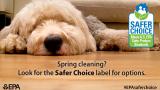 sleeping dog with the Safer Choice label