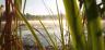 Pristine wetland image from EnviroAtlas overview video