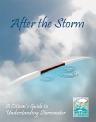 Cover of After the Storm video