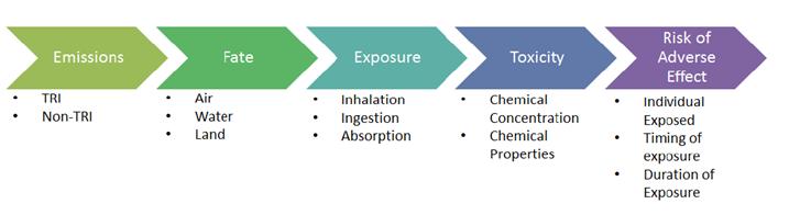 Key factors that influence risk include chemical, exposure, and toxicity