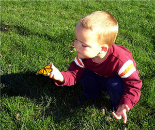 Child with a monarch butterfly