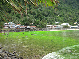 This bay east of Pago Pago was colored an unnaturally bright green by spilled marine marker dye