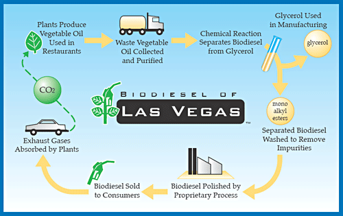 to vegetable oil biofuel process