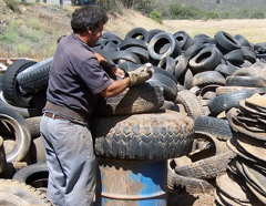 Participant cleaning up used tires in La Jolla in 2007