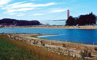 Tidal lagoon restored beneath Golden Gate Bridge in San Francisco