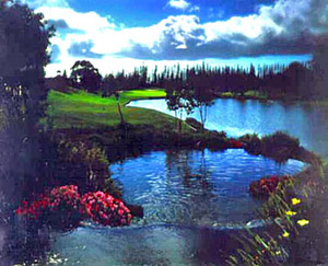 Koele Golf Course Pond