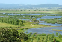 fresh water wetland Viansa winery