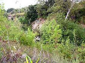 Serano Creek - June 2005 - After