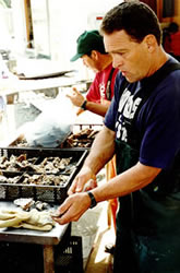 Shucking oysters from tidal mudflats