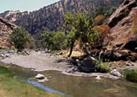 Photo of a wetlands creek