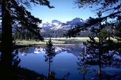 Pristine Environment - Mountain Lake