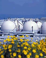 Los Angeles Hyperion Wastewater Treatment Facility: Anaerobic Digesters