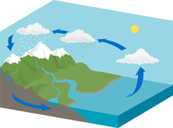 Image of the water cycle