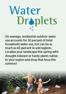 On average, residential outdoor water use accounts for 30 percent of total household water use, but can be as much as 60 percent of total household water use in arid regions. Localize your landscape this spring with drought-tolerant or hardy plants native to your region, and drop that hose this summer! 