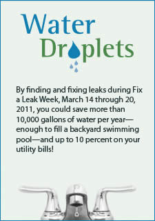 By finding and fixing leaks during Fix a Leak Week, March 14 through 20, 2011, you could save more than 10,000 gallons of water per year–enough to fill a backyard swimming pool and save up to 10 percent on your water utility bills!
