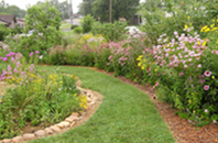 A water–efficient landscape in California.