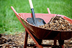 A wheelbarrow and mulch that will be used in a water&ndefficient landscape project.